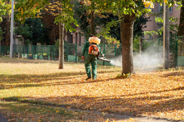 Trusted Kernersville, NC Pest Control Experts