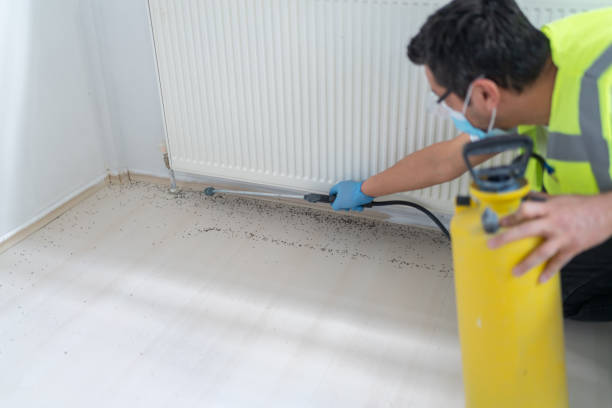 Best Cockroach Control Services  in Kernersville, NC